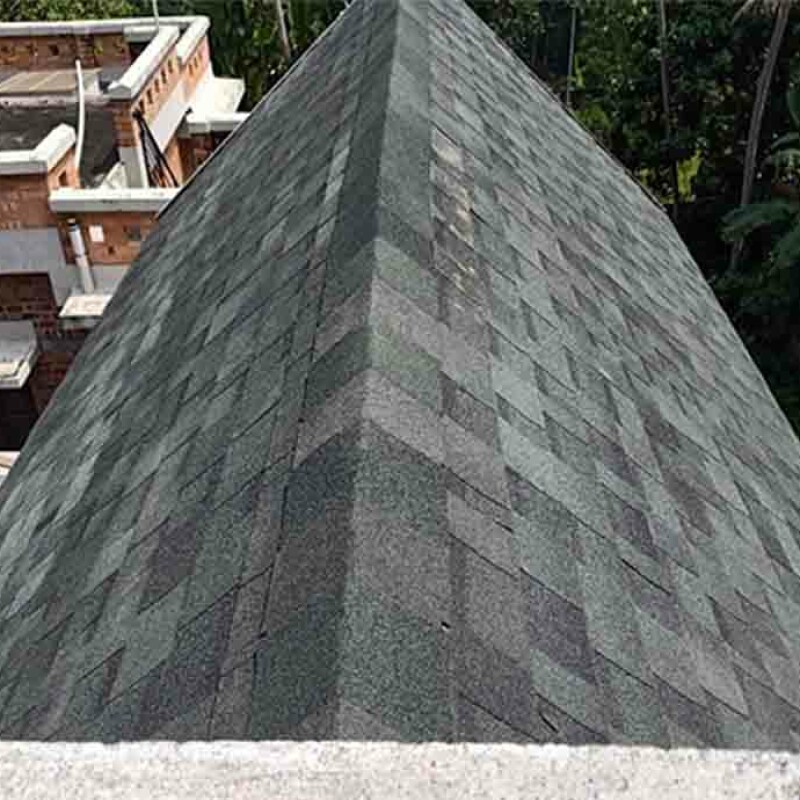 Shingles Roofing 001