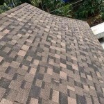 Shingles Roofing 003